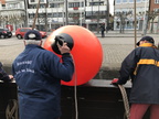 IMG 4954